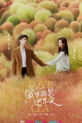 爱寻迷